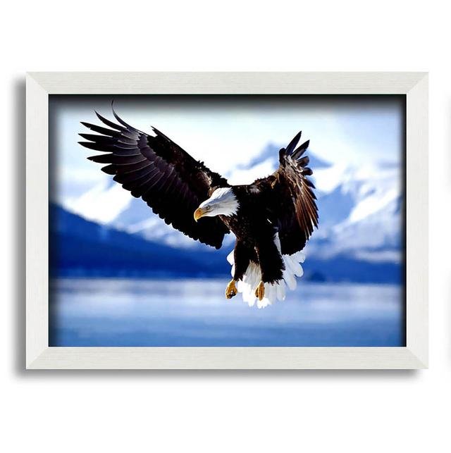 Bald Eagle In Flight Alaska Framed Print Alpen Home Size: 29.7cm H x 42cm W, Format: White Framed Paper on Productcaster.