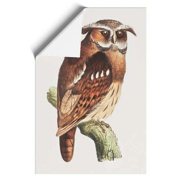 Owl on a Branch by Theo Van Hoytema - Unframed Painting East Urban Home Size: 30cm H x 21cm W x 0.1cm D on Productcaster.