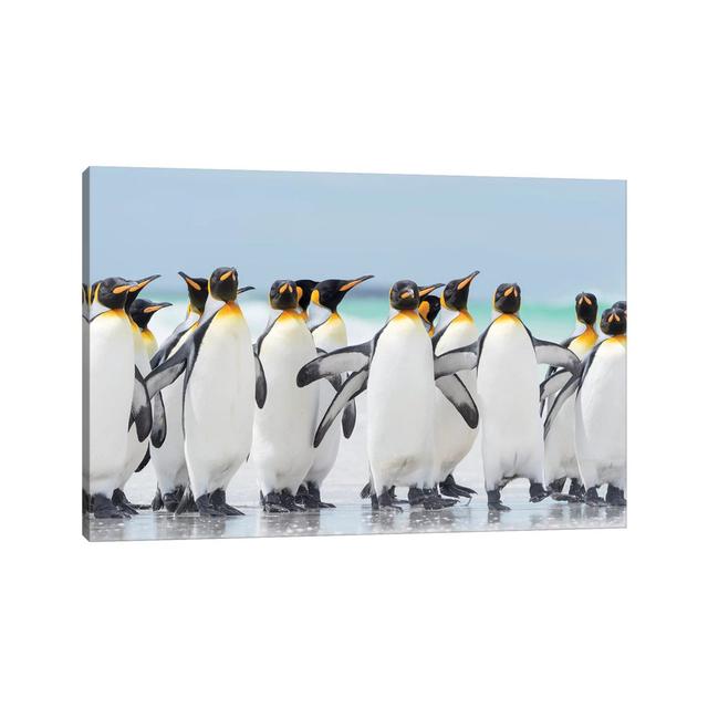 King Penguin on Falkland Islands. by Martin Zwick - Wrapped Canvas Photograph Latitude Run Size: 66.04cm H x 101.6cm W x 1.91cm D on Productcaster.