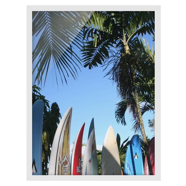 Surfers Paradise - Picture Frame Graphic Art Bay Isle Home Size: 100cm H x 70cm W x 2cm D, Frame Option: White Framed on Productcaster.