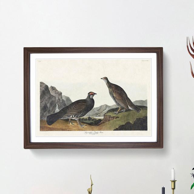 Dusky Grouse by John James Audubon - Picture Frame Painting Print East Urban Home Size: 36cm H x 48cm W x 2cm D, Frame Option: Walnut Framed on Productcaster.