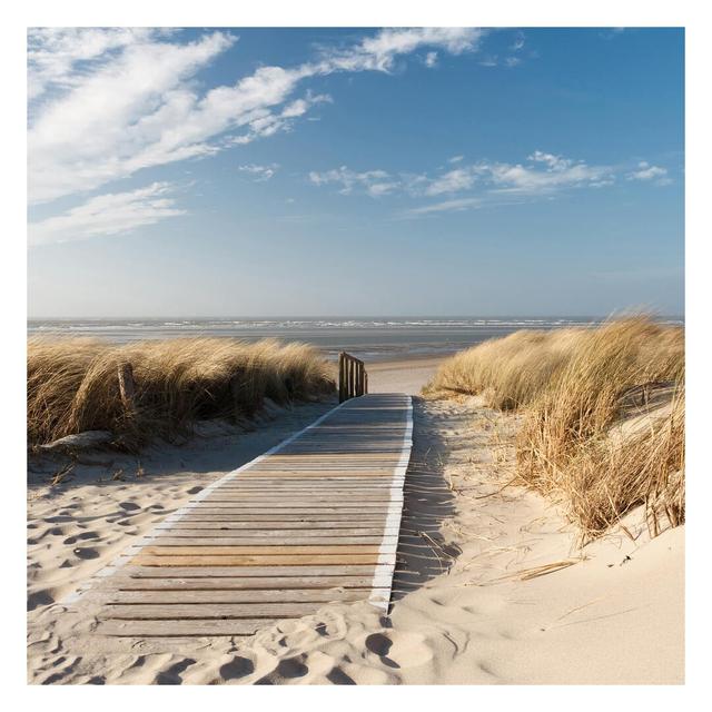 Baltic Sea Beach 3.36m x 3.36m Textured Matt Peel & Stick Wall Mural East Urban Home Size: 1.92m x 1.92m on Productcaster.