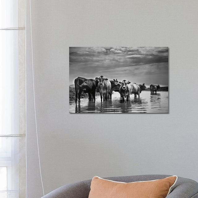 In The River by Aledanda - Wrapped Canvas Print Latitude Run Size: 45.72cm H x 66.04cm W x 1.91cm D on Productcaster.