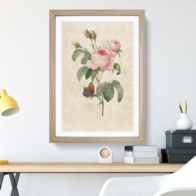 Butterfly & Pink Rose by Pierre-Joseph Redoute - Picture Frame Art Print East Urban Home Frame Option: Oak Framed, Size: 48cm H x 36cm W x 2cm D on Productcaster.