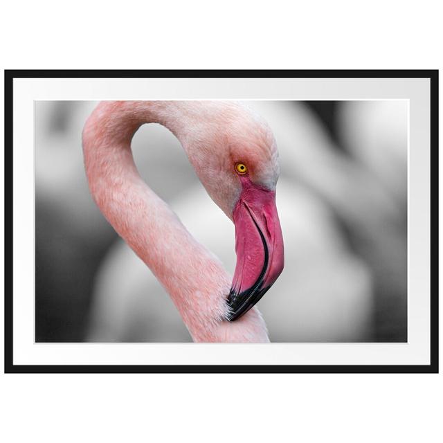 Gerahmtes Poster 'Magnificent Flamingo' East Urban Home Farbe: Rosa/Grau, Größe: 60 cm H x 80 cm B x 2,5 cm T on Productcaster.