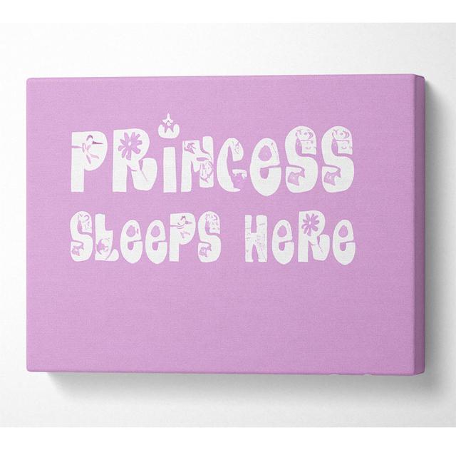 Princesss Sleeps Here Pink - Wrapped Canvas Typography Happy Larry Size: 81cm H x 121.9cm W x 10cm D on Productcaster.