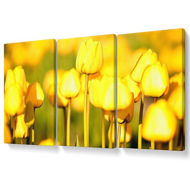 Yellow Tulips in the Garden - 3 Piece Wrapped Canvas Graphic Art Set Ebern Designs Size: 142.2cm H x 304.8cm W on Productcaster.