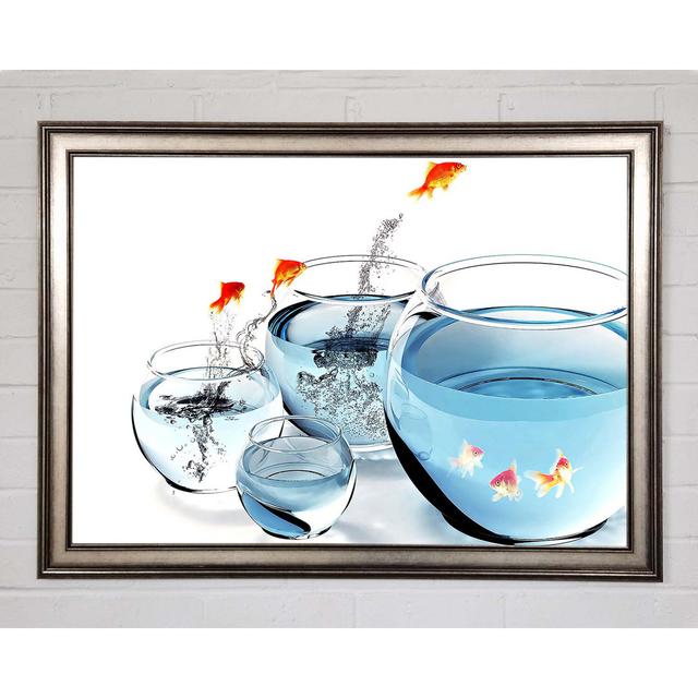 Arbnor Fishes And Aquariums Framed Print Wall Art Latitude Run Size: 21cm H x 29.7cm W x 1.5cm D, Format: Natural Framed Paper on Productcaster.