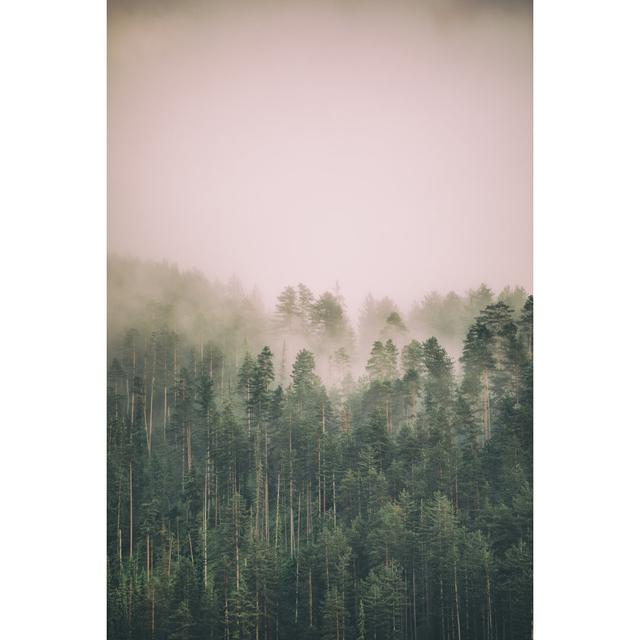 Nebel und Wolken am Berg von Miljko - Druck Alpen Home Größe: 60 cm H x 40 cm B on Productcaster.