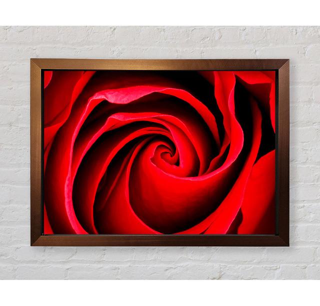 Red Rose Silk - Single Picture Frame Art Prints Bright Star Size: 84.1cm H x 118.9cm W x 3.4cm D on Productcaster.