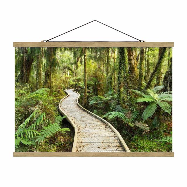 Path in the Jungle - Graphic Art Print Union Rustic Size: 66.5cm H x 100cm W x 0.3cm D on Productcaster.