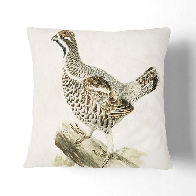 Hazel Grouse by Von Wright Cushion with Filling East Urban Home Size: 40cm H x 40cm W x 15cm D, Backing Colour: White on Productcaster.