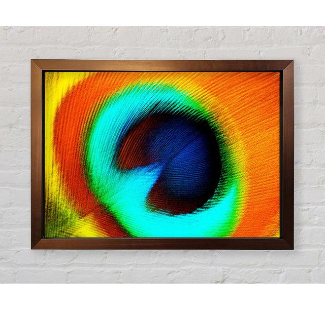 Peacock Feather Eye Close-Up - Single Picture Frame Art Prints Bright Star Size: 59.7cm H x 84.1cm W on Productcaster.