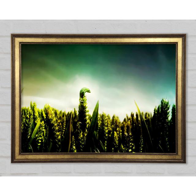 Lizard Perch - Single Picture Frame Art Prints Ebern Designs Size: 21.1cm H x 29.7cm W on Productcaster.