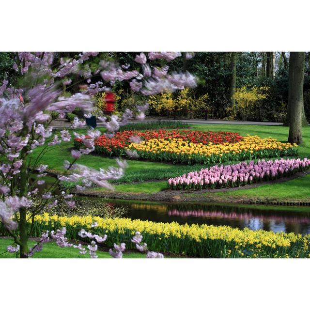 Keukenhof Flower Gardens by Ultima Gaina - Wrapped Canvas Art Prints 17 Stories Size: 61cm H x 91cm W 3.8cm D on Productcaster.