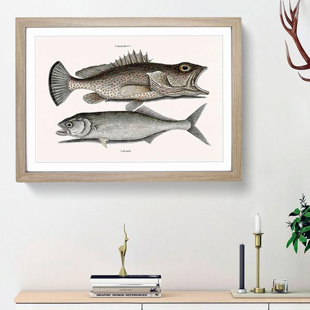 Skipjack & Hind Fish by Mark Catesby - Picture Frame Painting Print East Urban Home Size: 62cm H x 87cm W x 2cm D, Frame Option: Oak Framed on Productcaster.