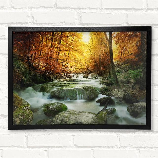 Forest Magic Framed Print Union Rustic Size: 29.7cm H x 42cm W x 3cm D, Format: Black Framed Wood on Productcaster.