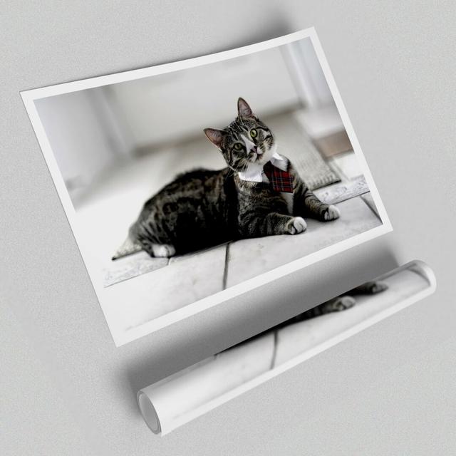 Funny Cat Wears Tie - Photograph Print on Paper East Urban Home Size: 59.4 cm H x 84.1 cm W x 1cm D on Productcaster.