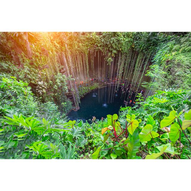 Ik Kil Cenote, Yucatã¡N Peninsula by Elijah-Lovkoff - Wrapped Canvas Photograph Alpen Home Size: 20cm H x 30cm W on Productcaster.