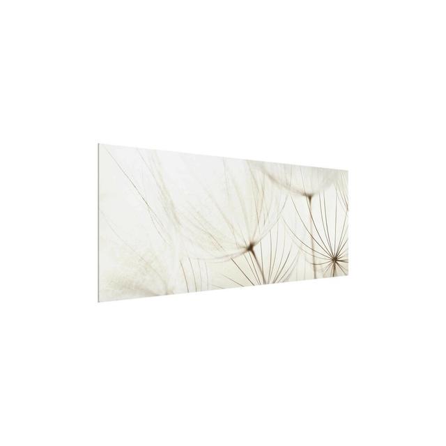 'Soft Grasses' Photograph on Glass East Urban Home Size: 40 cm H x 100 cm W on Productcaster.