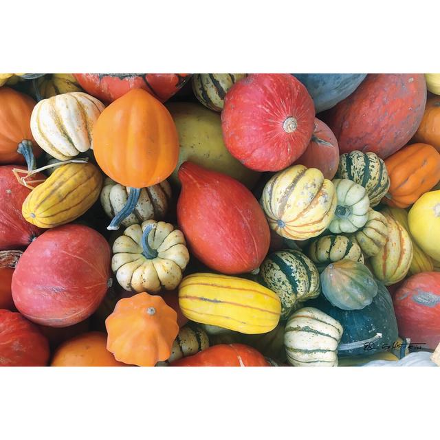 Autumn Bounty - Wrapped Canvas Art Print Ebern Designs Size: 30cm H x 46cm W on Productcaster.