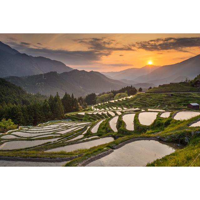 Rice Terraces by SeanPavonePhoto - Wrapped Canvas Print Alpen Home Size: 51cm H x 76cm W on Productcaster.