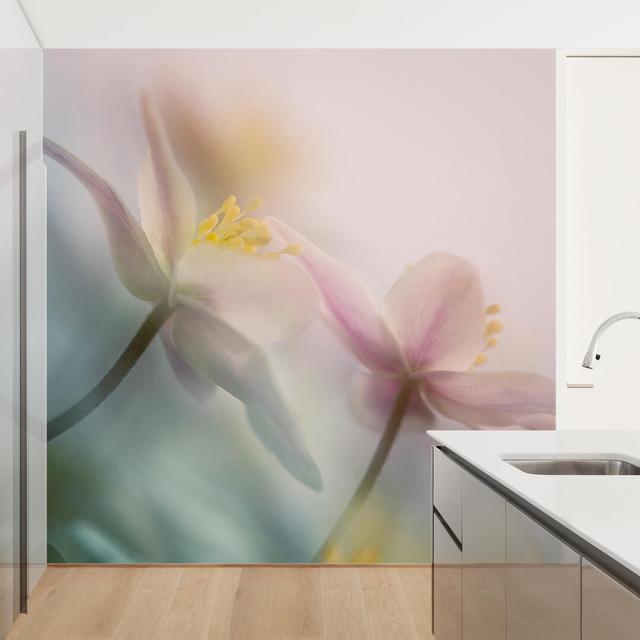 Wood Anemone 1.92m x 1.92m Textured Matte Peel & Stick Mural East Urban Home Size: 1.92m x 1.92m on Productcaster.