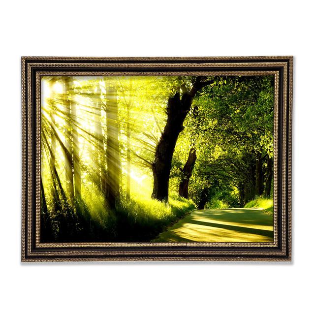 The Light On The Ocean - Single Picture Frame Art Prints Union Rustic Size: 29.7cm H x 42cm W x 3cm D on Productcaster.