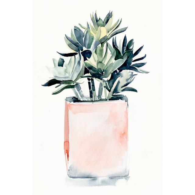 Potted Succulent IV by Jennifer Paxton Parker - Wrapped Canvas Painting Print Marlow Home Co. Size: 76cm H x 51cm W on Productcaster.