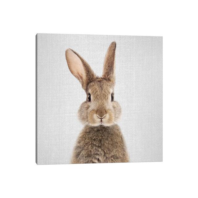 Rabbit by Gal Design - Graphic Art Print on Canvas Brambly Cottage Size: 66.04cm H x 66.04cm W x 1.91cm D, Frame Option: No Frame on Productcaster.