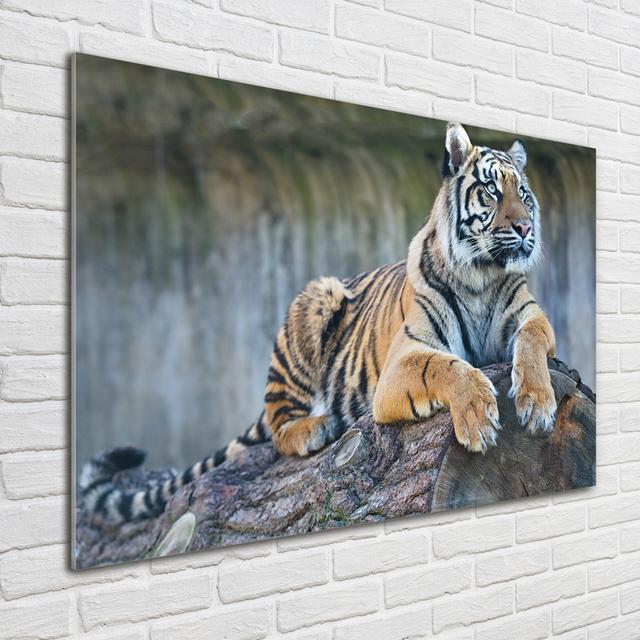 Tiger - Unframed Art Prints on Glass Ebern Designs on Productcaster.