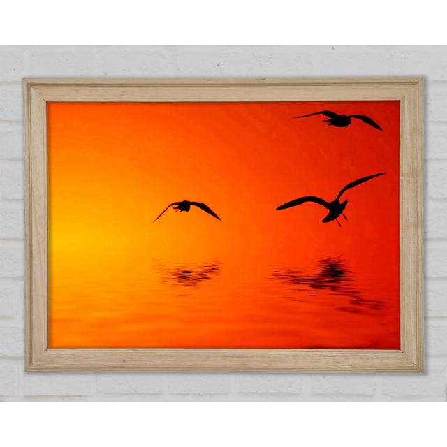 Orange Ocean Flight Gerahmter Druck Haus am Meer Größe: 42 cm H x 59,7 cm B x 1,5 cm T on Productcaster.