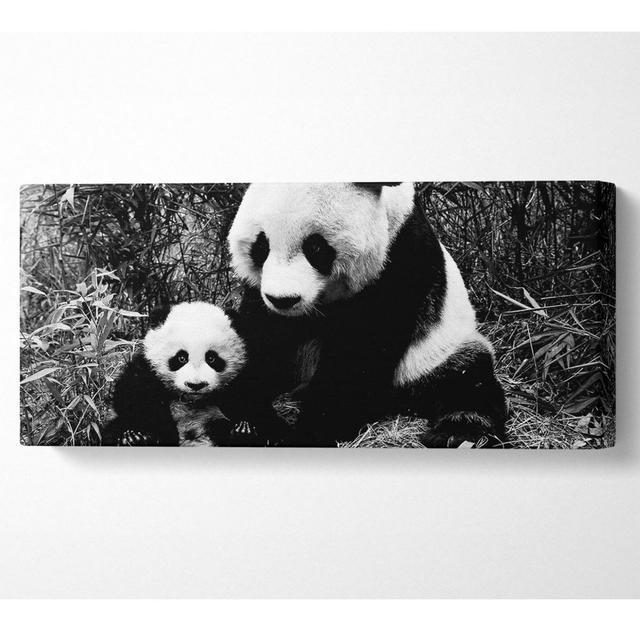 Panda Mother And Baby - Wrapped Canvas Art Prints Bloomsbury Market Size: 81.3cm H x 183cm W x 10cm D on Productcaster.