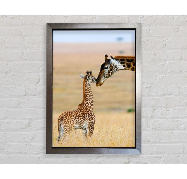 Baby Giraffe Love - Einzelner Bilderrahmen Kunstdrucke Bright Star Größe: 141,4 cm H x 100 cm B x 3,4 cm T on Productcaster.