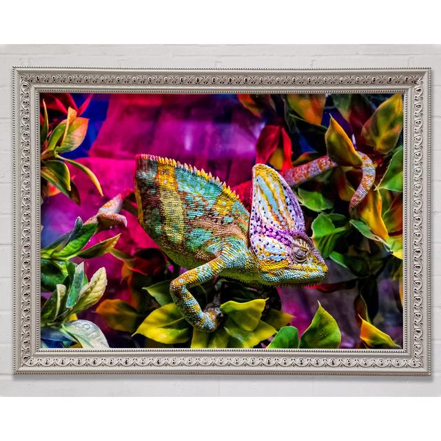 Chameleon In The Pink - Single Picture Frame Art Prints Bright Star Size: 21cm H x 29.1cm W x 3cm D on Productcaster.