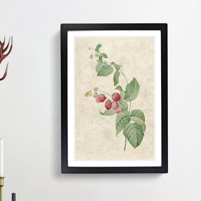 Raspberry Plant by Pierre-Joseph Redoute - Picture Frame Painting Print East Urban Home Frame Option: Black Framed, Size: 36cm H x 27cm W x 2cm D on Productcaster.