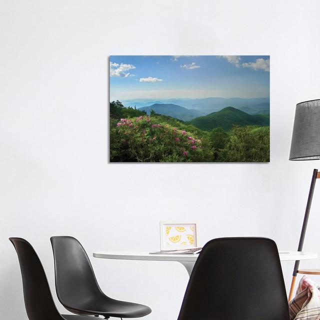 Rhododendron Tree Flowering At Craggy Gardens, Blue Ridge Parkway, North Carolina by Tim Fitzharris - Wrapped Canvas Print Alpen Home Size: 66.04cm H on Productcaster.