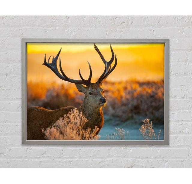 Crisp Winters Stag - Single Picture Frame Art Prints on Canvas Bright Star Size: 84.1cm H x 118.9cm W x 3.3cm D on Productcaster.