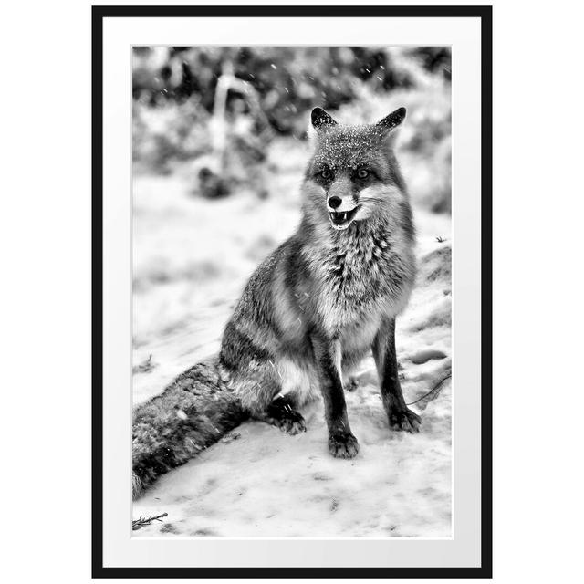 Gerahmtes Poster Fuchs im Schnee East Urban Home Größe: 100 cm H x 70 cm B on Productcaster.