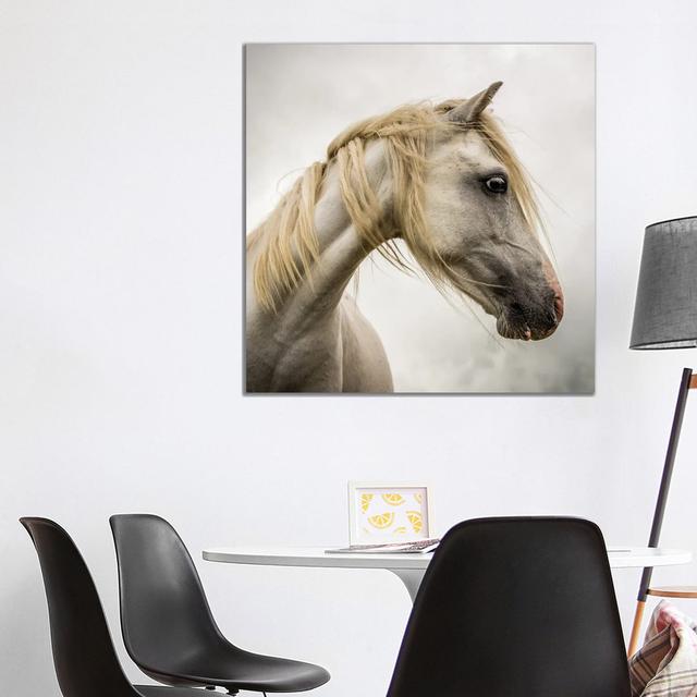 Wild Horse by Mark Gemmell - Wrapped Canvas Photograph Natur Pur Size: 93.98cm H x 93.98cm W x 3.81cm D on Productcaster.