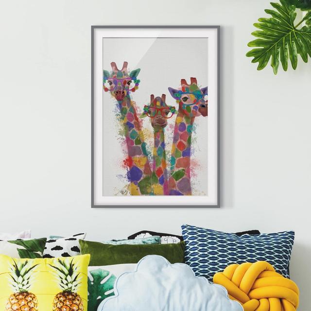 Picture With Frame - Rainbow Splash Giraffe Trio - Portrait 4:3 Maturi Frame Option: Grey, Size: 70cm H x 50cm W x 2cm D on Productcaster.