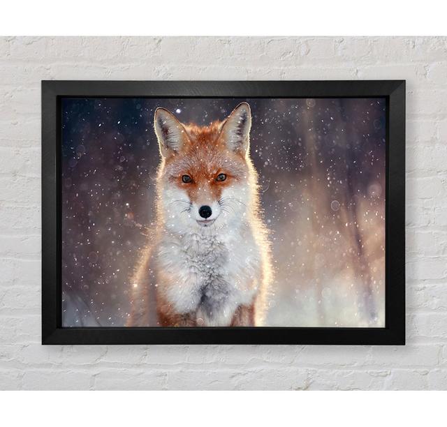 Fox In Winter - Single Picture Frame Art Prints Bright Star Size: 42cm H x 59.7cm W x 3.4cm D on Productcaster.