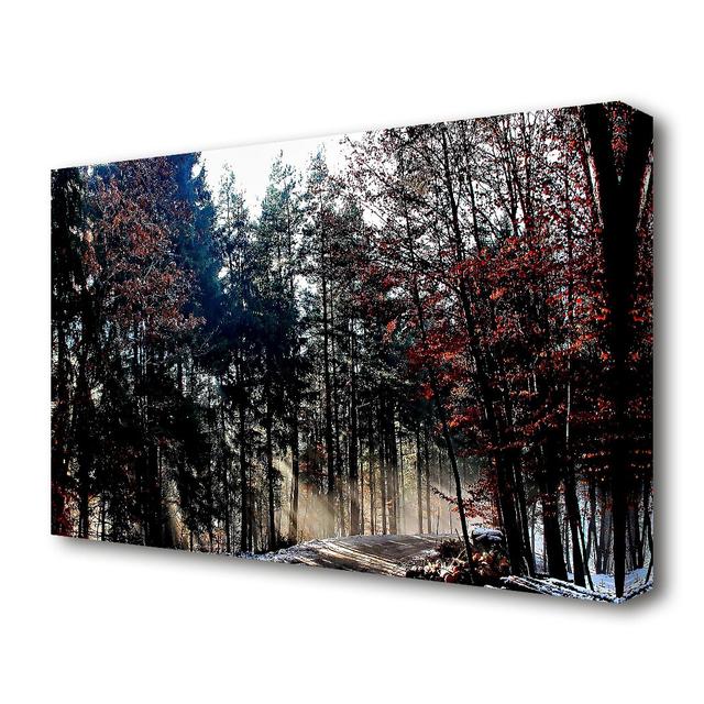 Forest Road In Winter Forest - Wrapped Canvas Photograph Print East Urban Home Size: 35.56 cm H x 50.8 cm W on Productcaster.