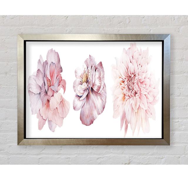 Three Pink Flower Beauty - Print Bright Star Size: 100cm H x 141.4cm W x 3.4cm D on Productcaster.