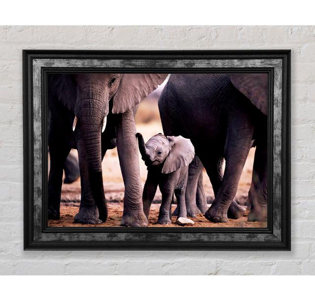 Baby Elephant Love - Single Picture Frame Art Prints Bright Star Size: 21cm H x 42cm W x 8cm D on Productcaster.