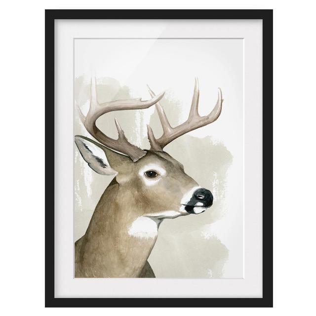 Forest Friends - Deer - Picture Frame Graphic Art Union Rustic Size: 40cm H x 30cm W x 2cm D, Frame Option: Black on Productcaster.