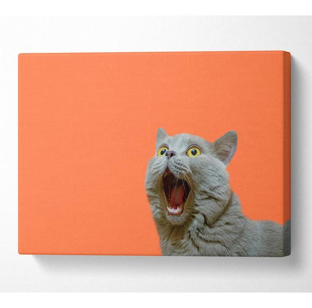 Cat on the Orange - Wrapped Canvas Graphic Art 17 Stories Size: 101.6cm H x 142.2cm W on Productcaster.