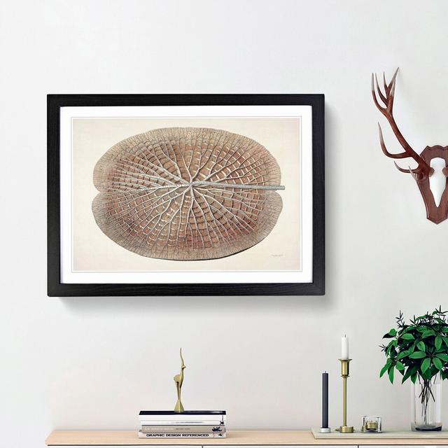 Leaf of a Gigantic Water Lily by William Sharp - Picture Frame Painting Print East Urban Home Size: 36cm H x 48cm W x 2cm D, Frame Option: Black Frame on Productcaster.