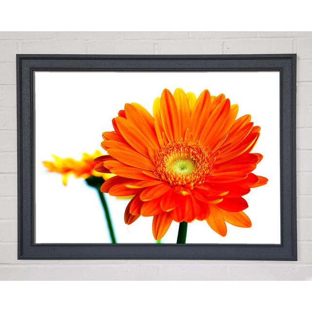 Orange Flames - Single Picture Frame Art Prints Ebern Designs Size: 21cm H x 29.7cm W on Productcaster.