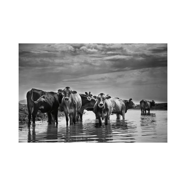 In The River by Aledanda - Wrapped Canvas Print Latitude Run Size: 30.48cm H x 45.72cm W x 1.91cm D on Productcaster.